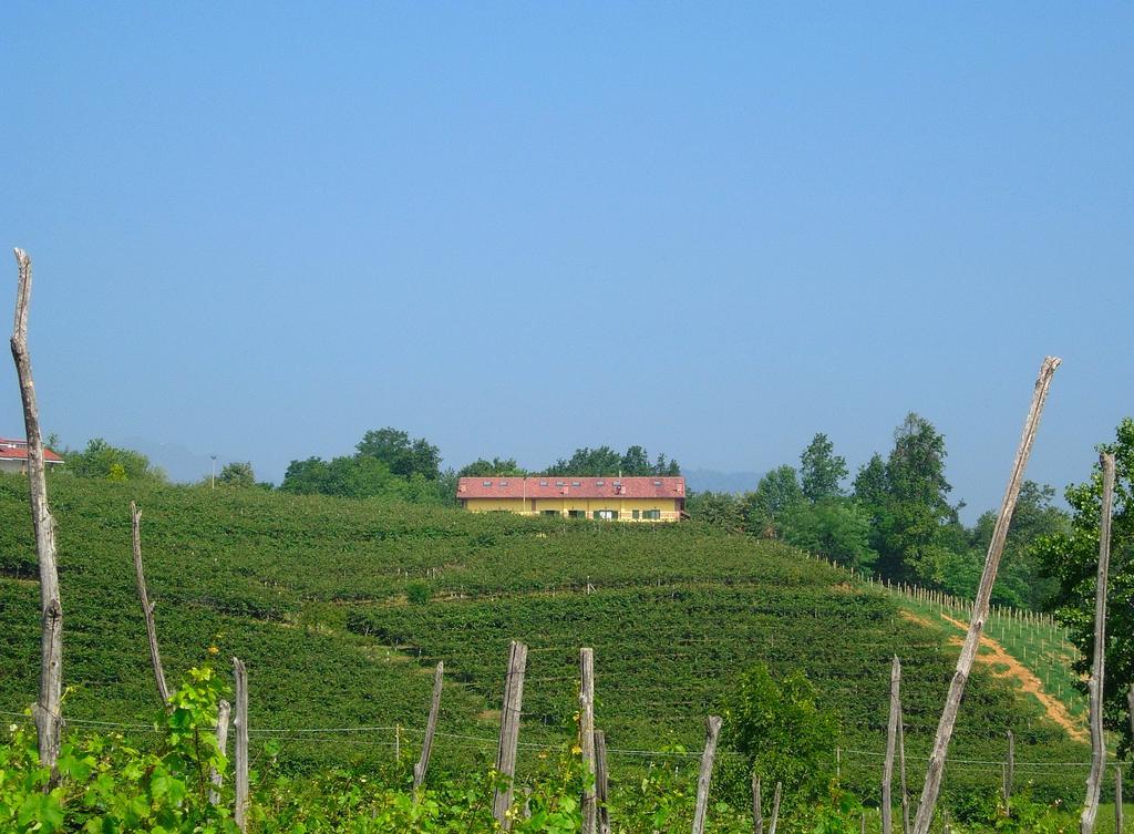 Agriturismo Turina Bricherasio Εξωτερικό φωτογραφία