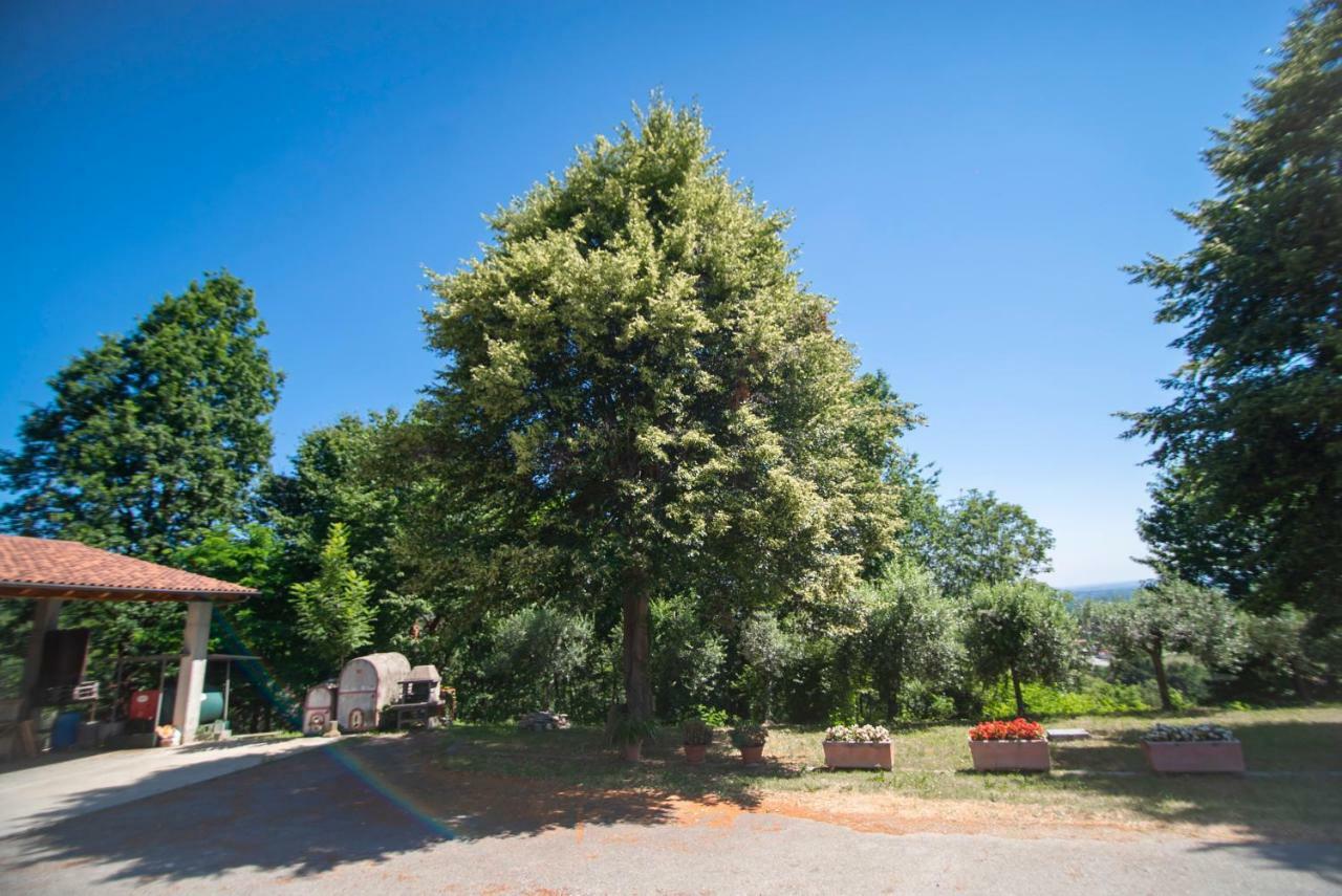 Agriturismo Turina Bricherasio Εξωτερικό φωτογραφία