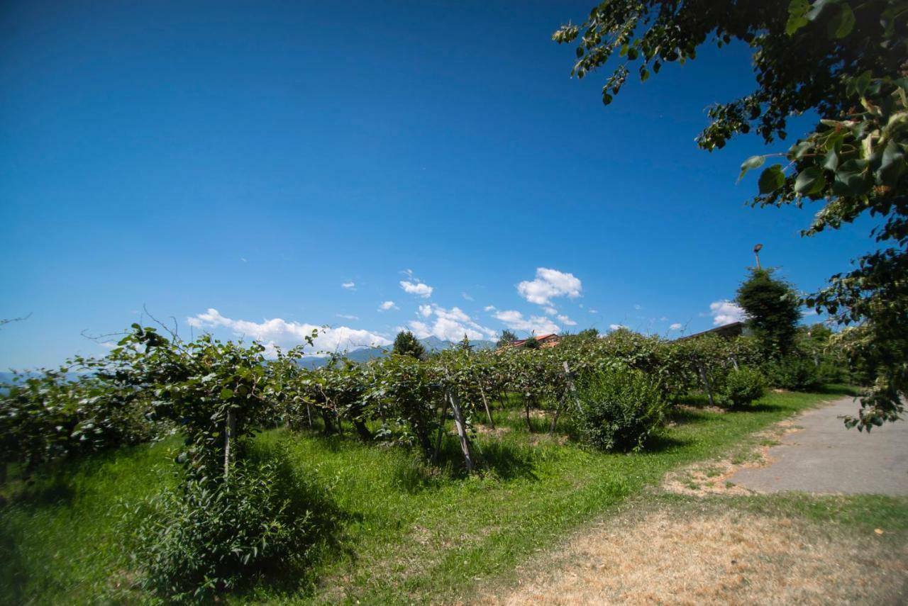 Agriturismo Turina Bricherasio Εξωτερικό φωτογραφία